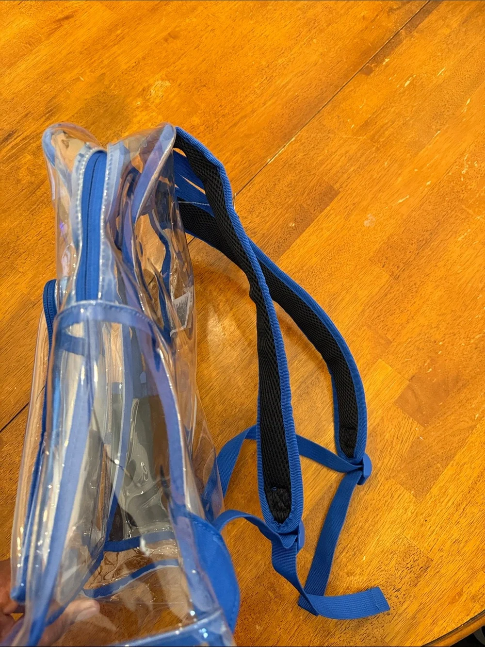 Nike Clear Backpack with Blue Trim and Matching Pouch